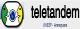 Teletandem
